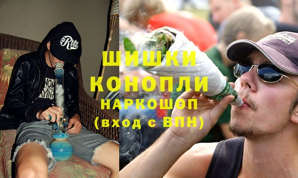 стаф Краснослободск
