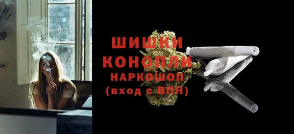 стаф Краснослободск