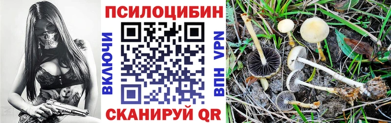 Псилоцибиновые грибы мухоморы  Купить где  Алупка 